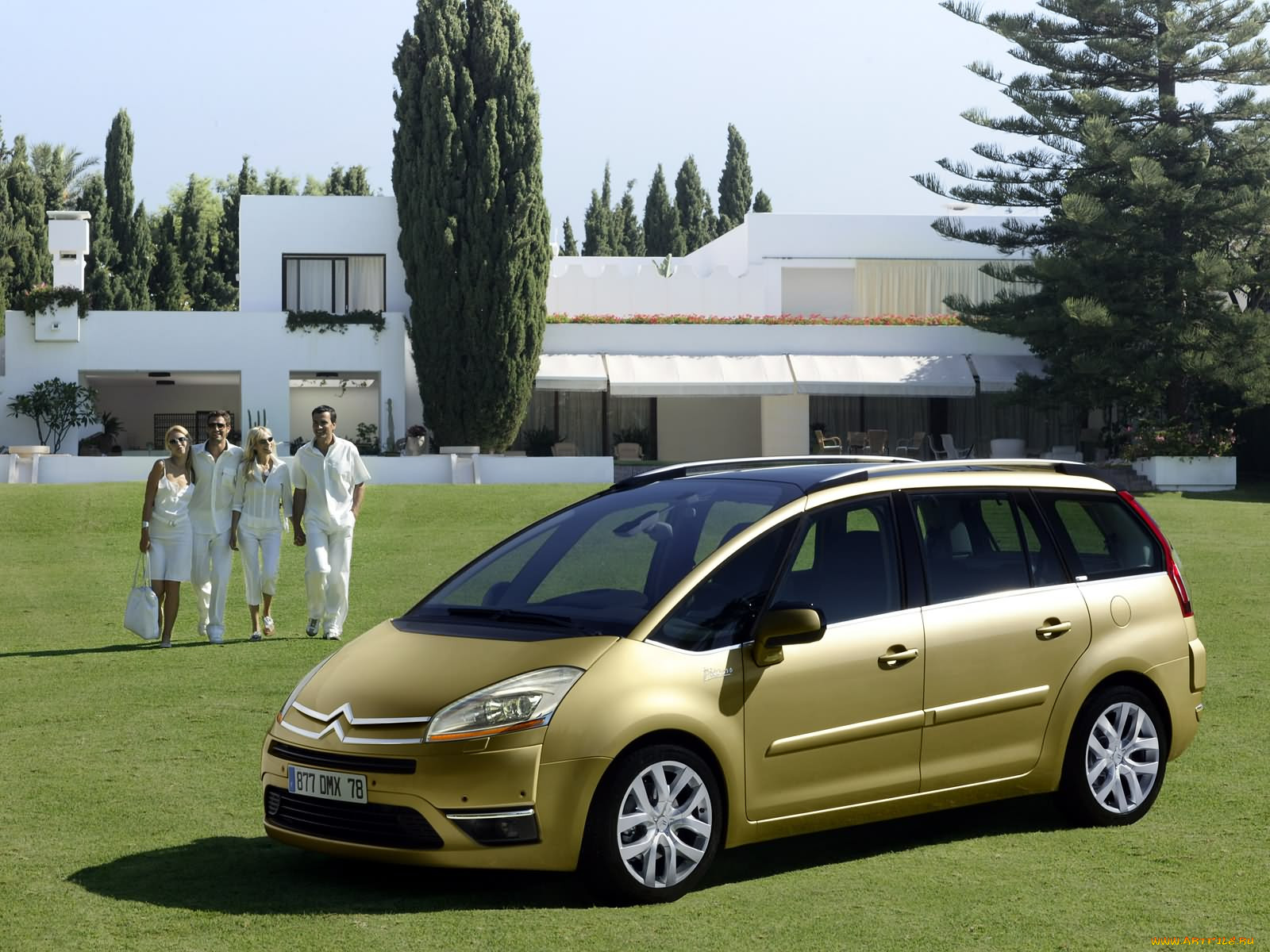 , citroen